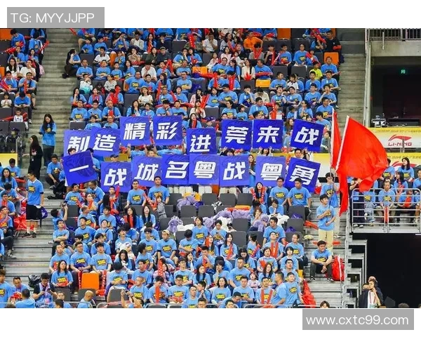 篮球明星书签的魅力与收藏价值探讨，带你走进篮球文化的世界